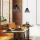 Светильник подвесной 150-18063 Tekled, FR9992 40W E27 D250 ЧЕРНЫЙ